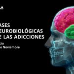 Bases neuro biológicas y fisiopatología de las adicciones