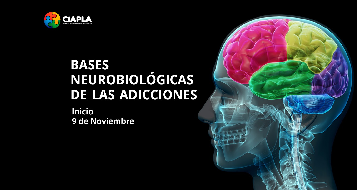bases-neuroilogicas-adicciones